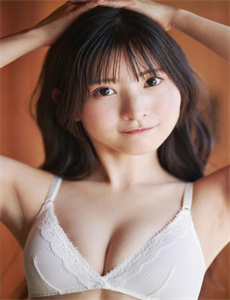 西北狼电视剧